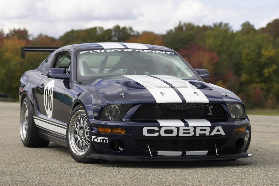  Ford Mustang FR500 2005 года  (фото 5 из 51)